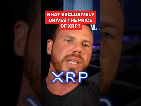 What Exclusively Drives the Price of XRP