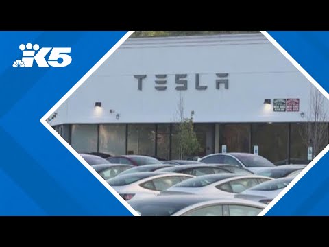 Seattle Tesla protests to continue despite Musk&#039;s tumultuous exit from White House